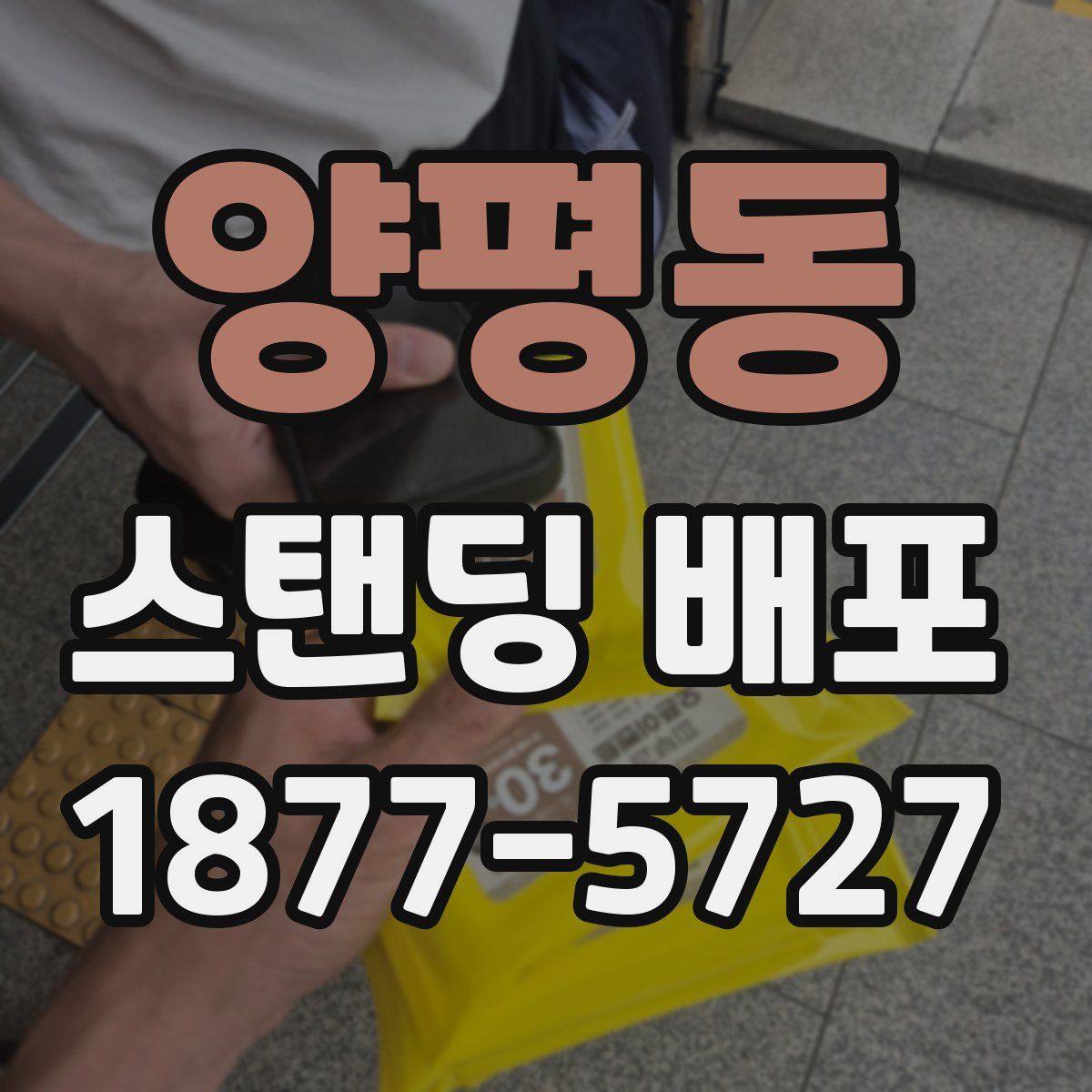 양평동 스탠딩 배포