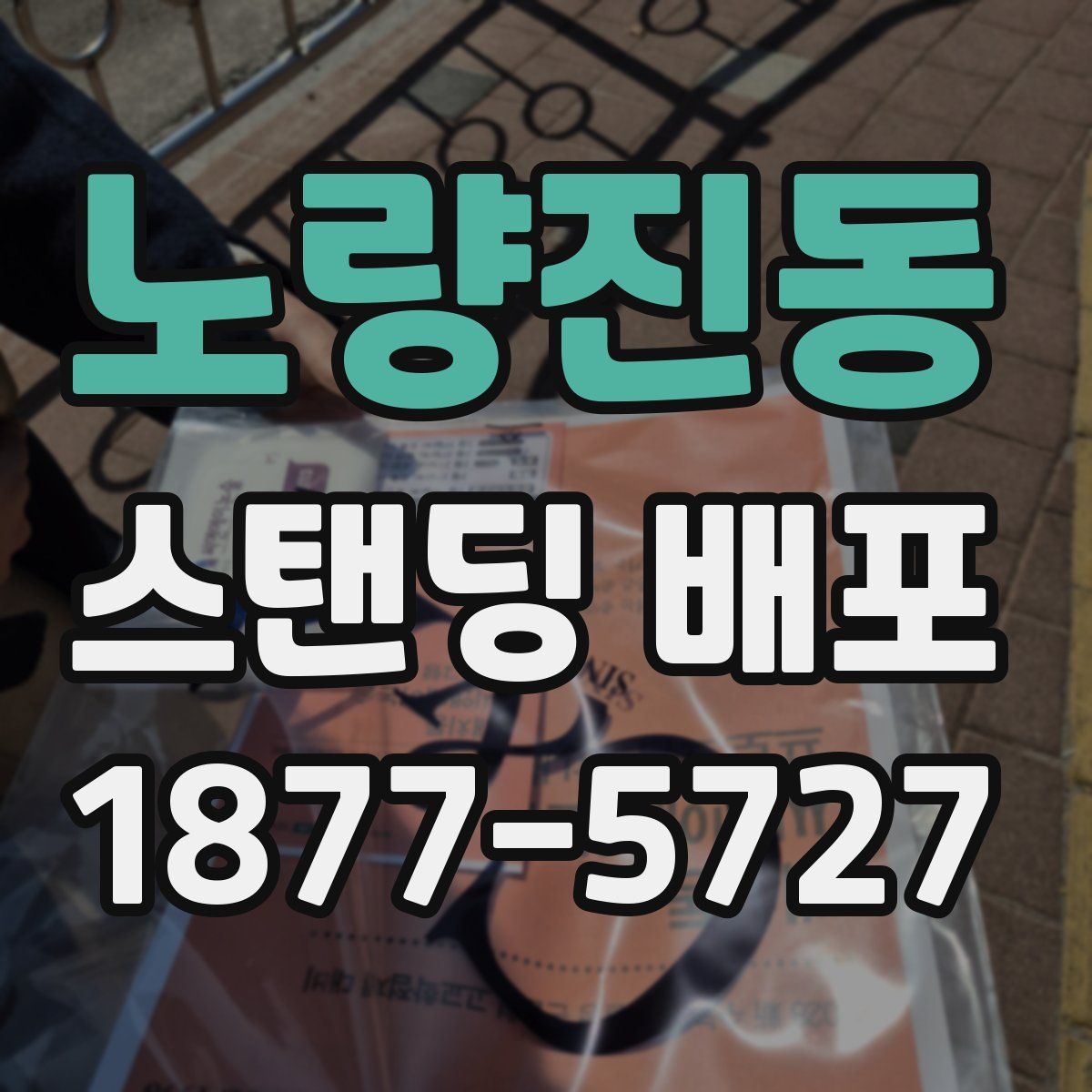 노량진동 스탠딩 배포