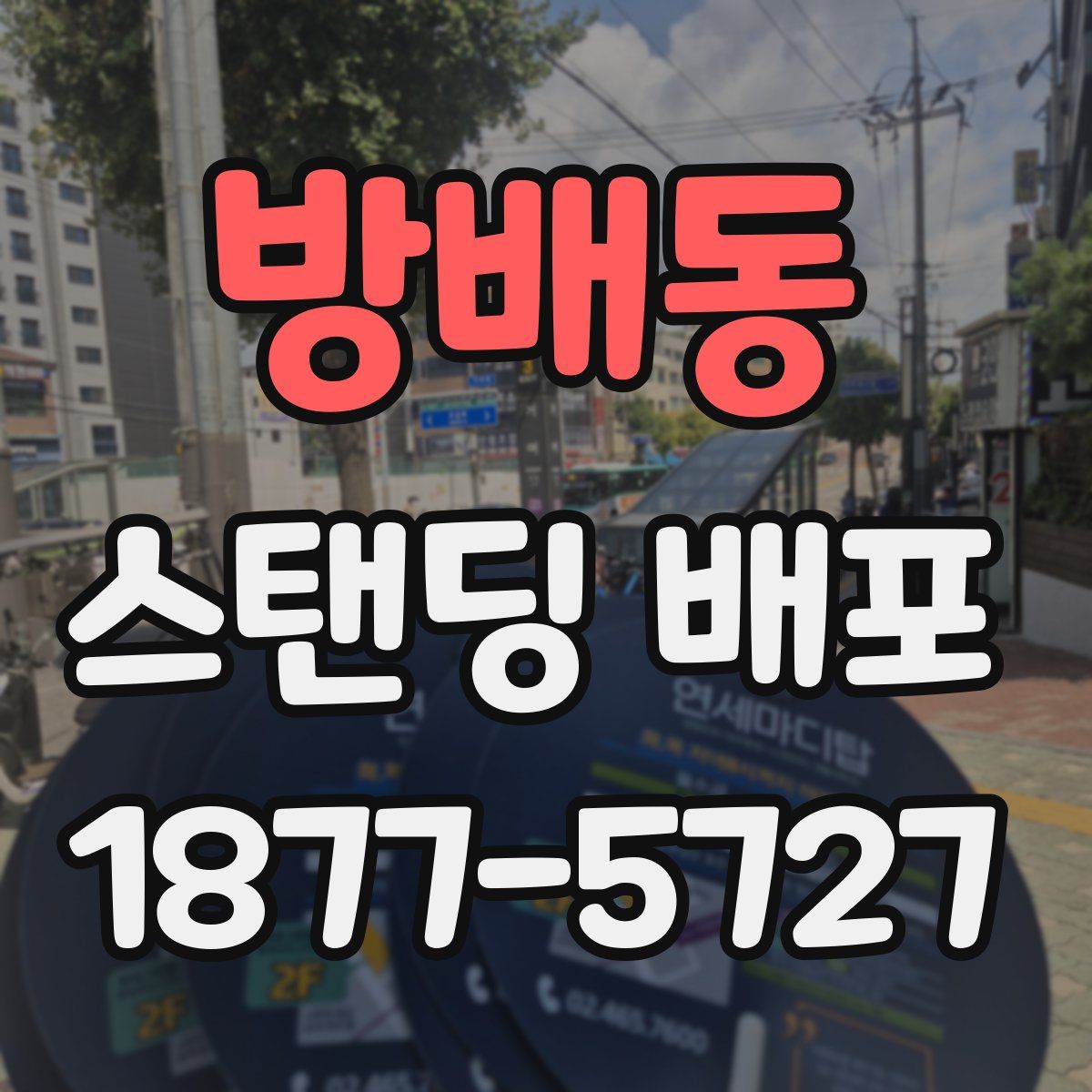 방배동 스탠딩 배포