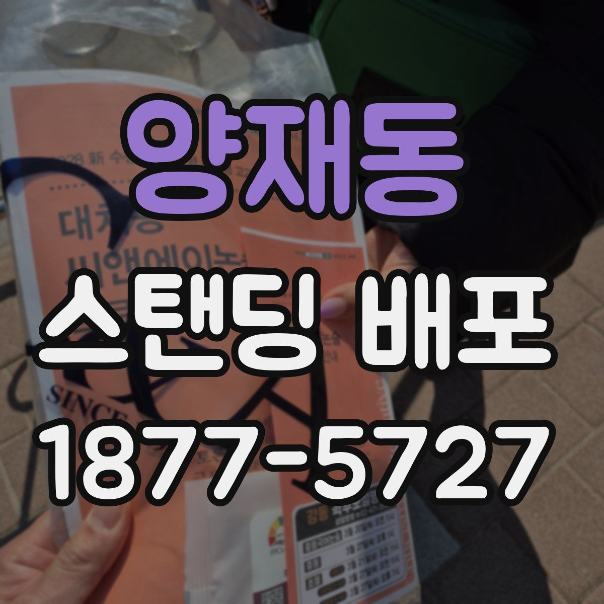 양재동 스탠딩 배포