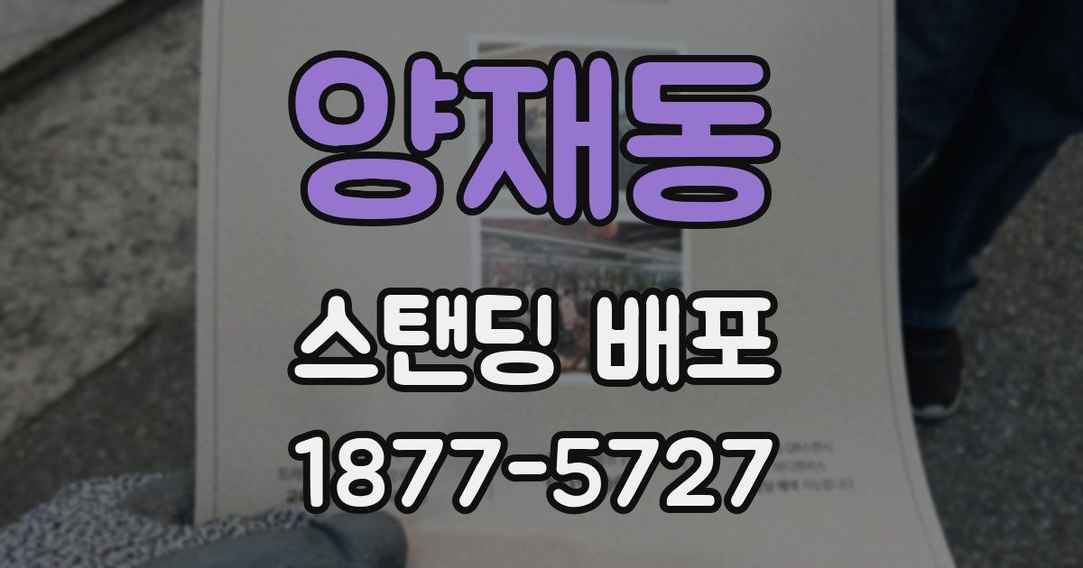 양재동 스탠딩 배포