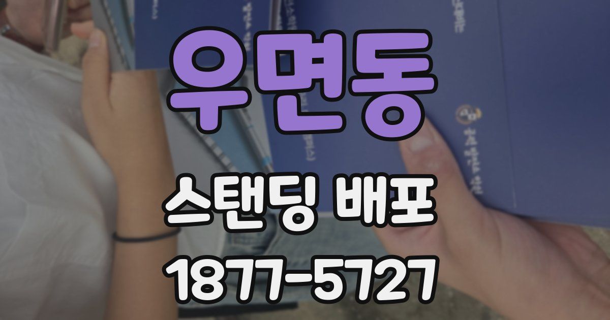 우면동 스탠딩 배포