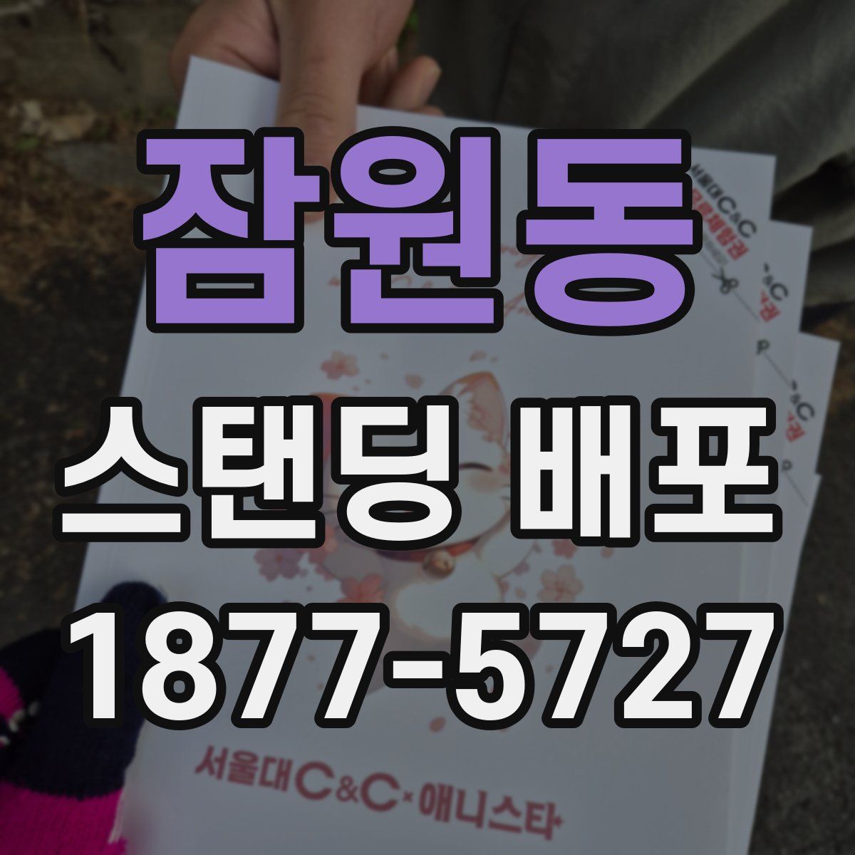 잠원동 스탠딩 배포