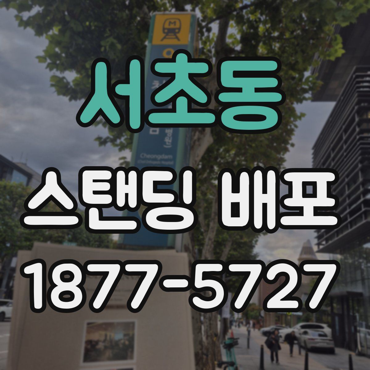 서초동 스탠딩 배포