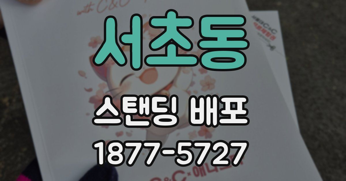 서초동 스탠딩 배포