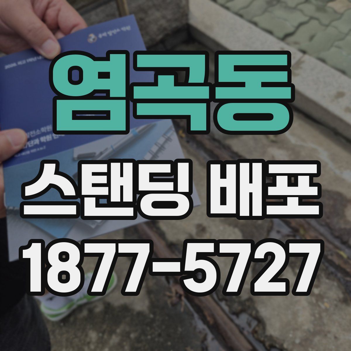 염곡동 스탠딩 배포