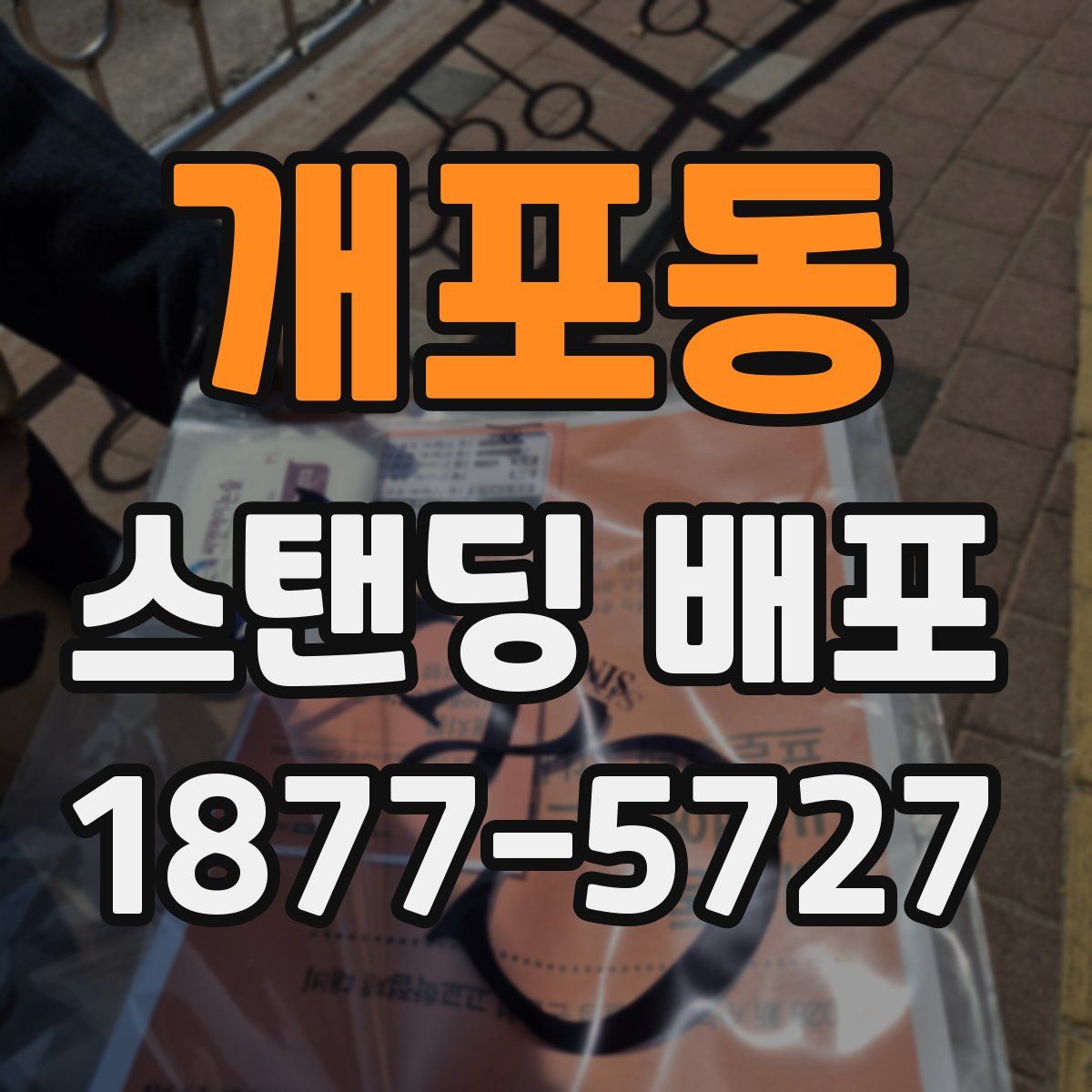 개포동 스탠딩 배포