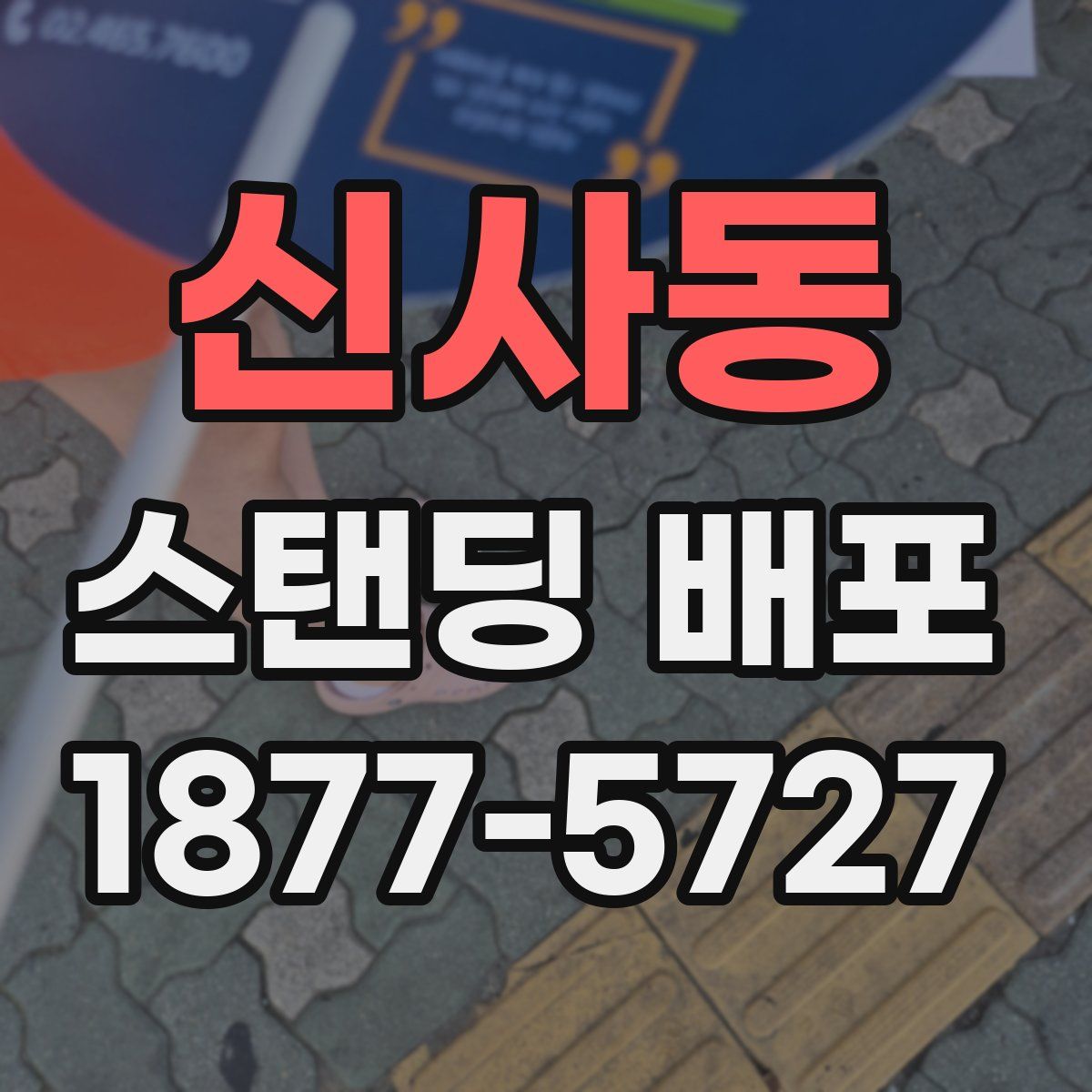 신사동 스탠딩 배포