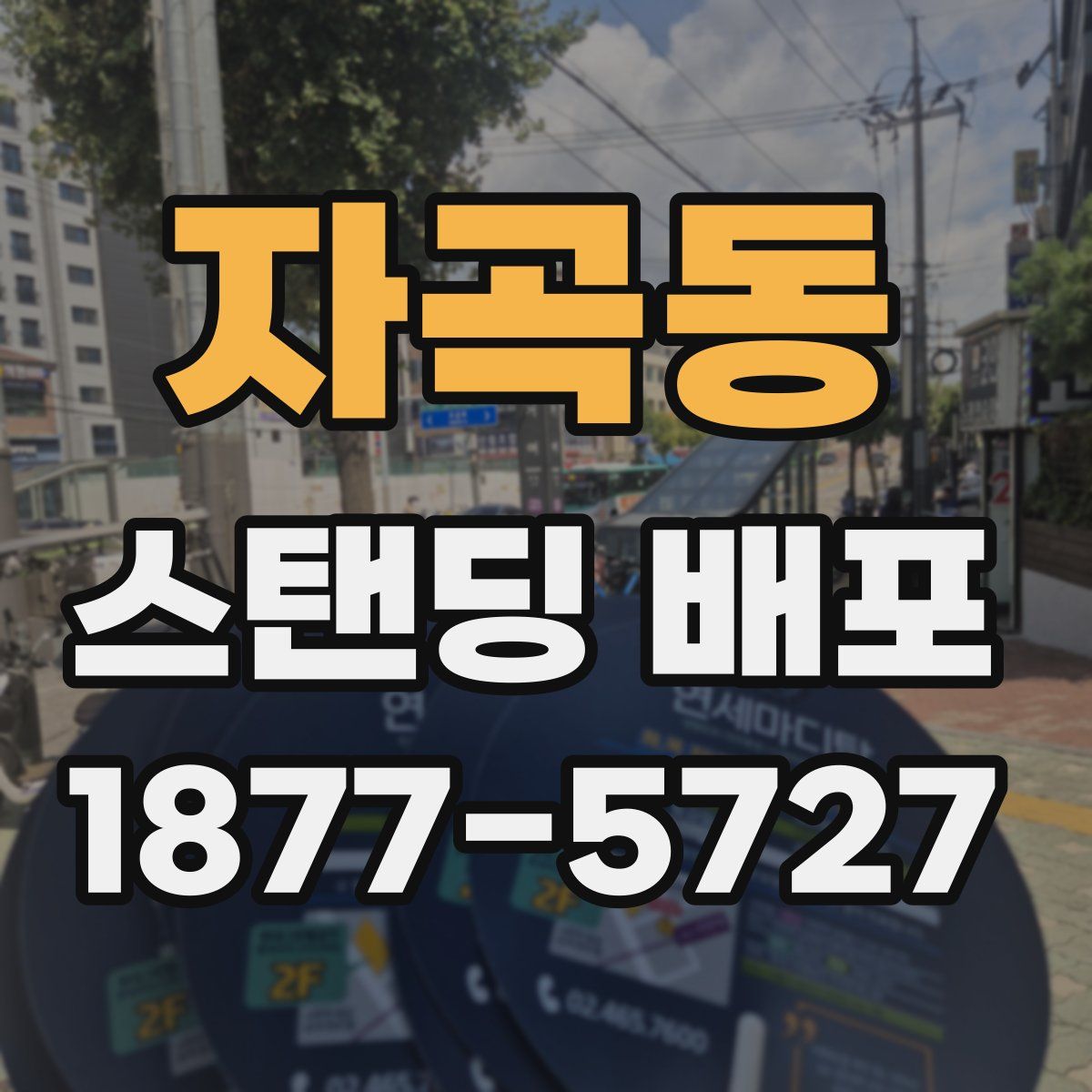 자곡동 스탠딩 배포