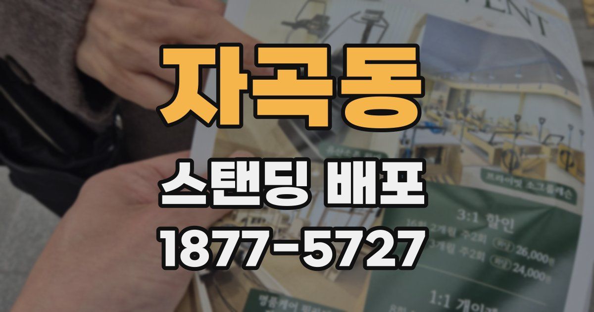 자곡동 스탠딩 배포