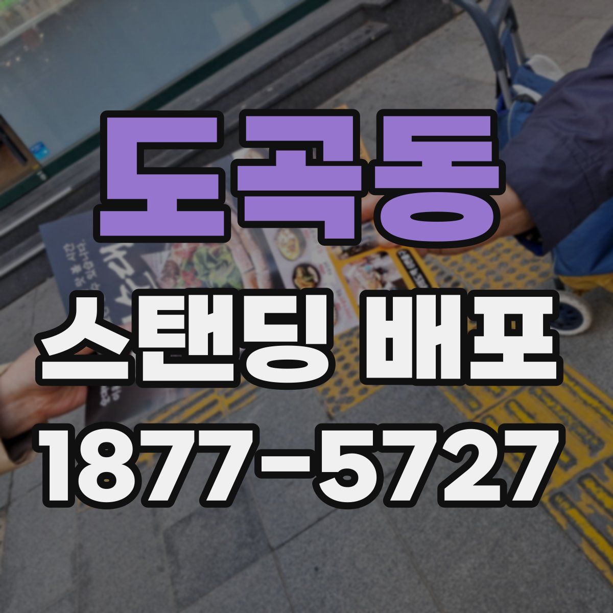도곡동 스탠딩 배포