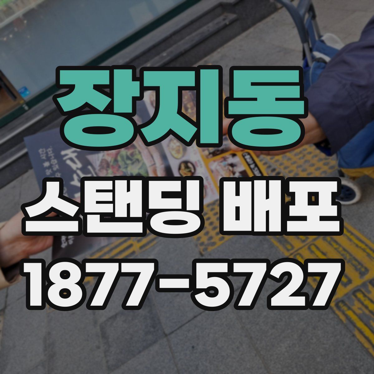 장지동 스탠딩 배포