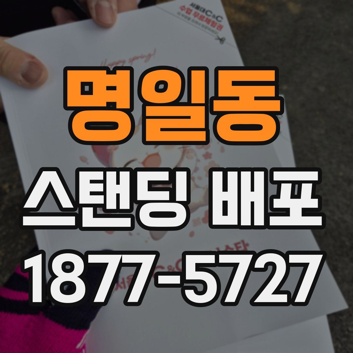 명일동 스탠딩 배포
