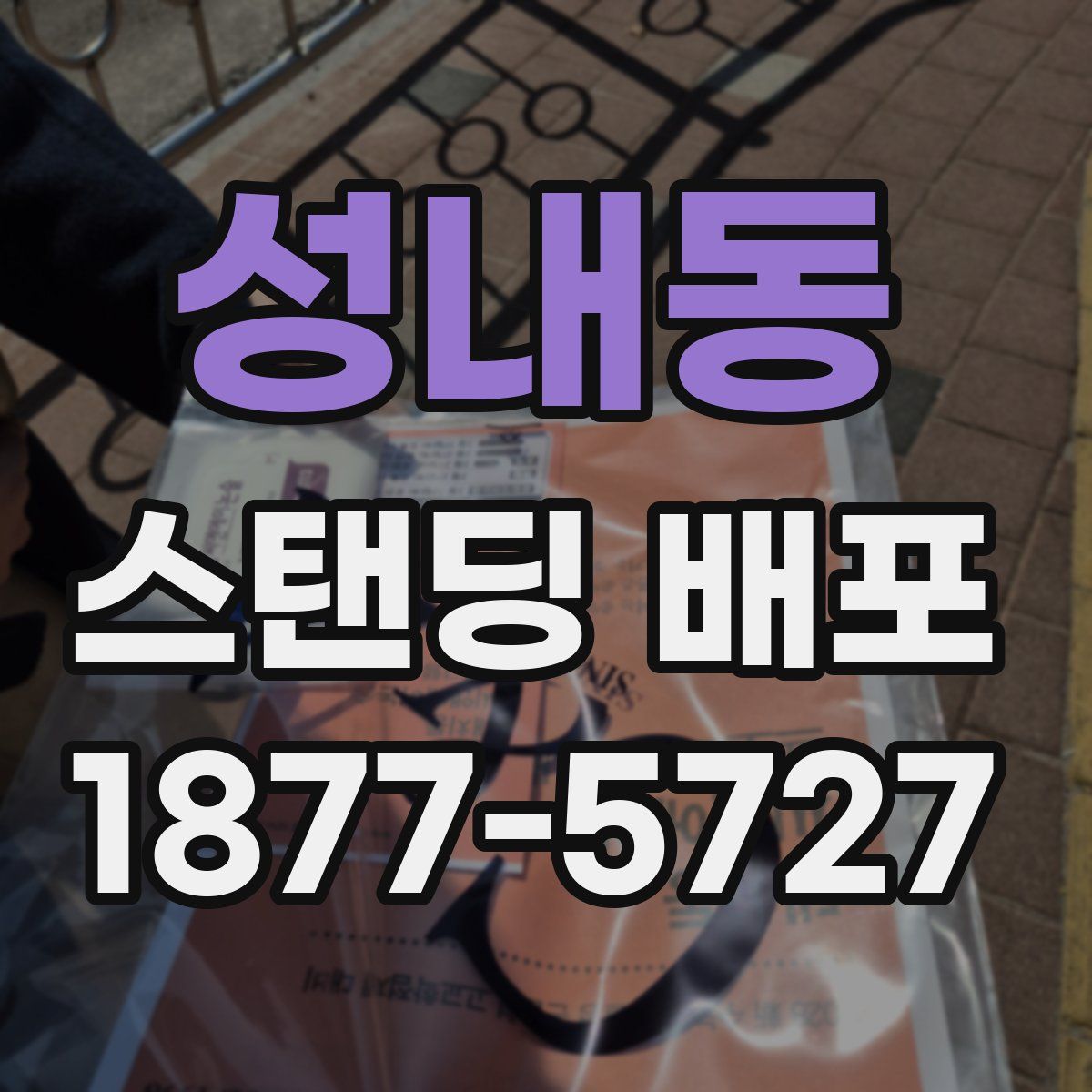 성내동 스탠딩 배포