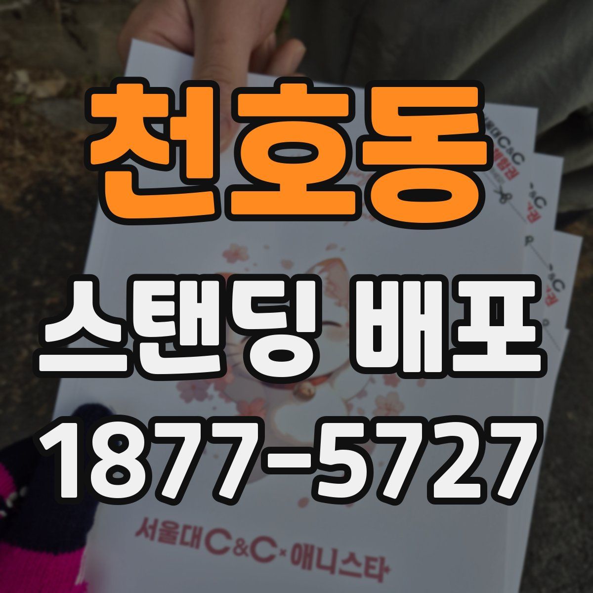 천호동 스탠딩 배포
