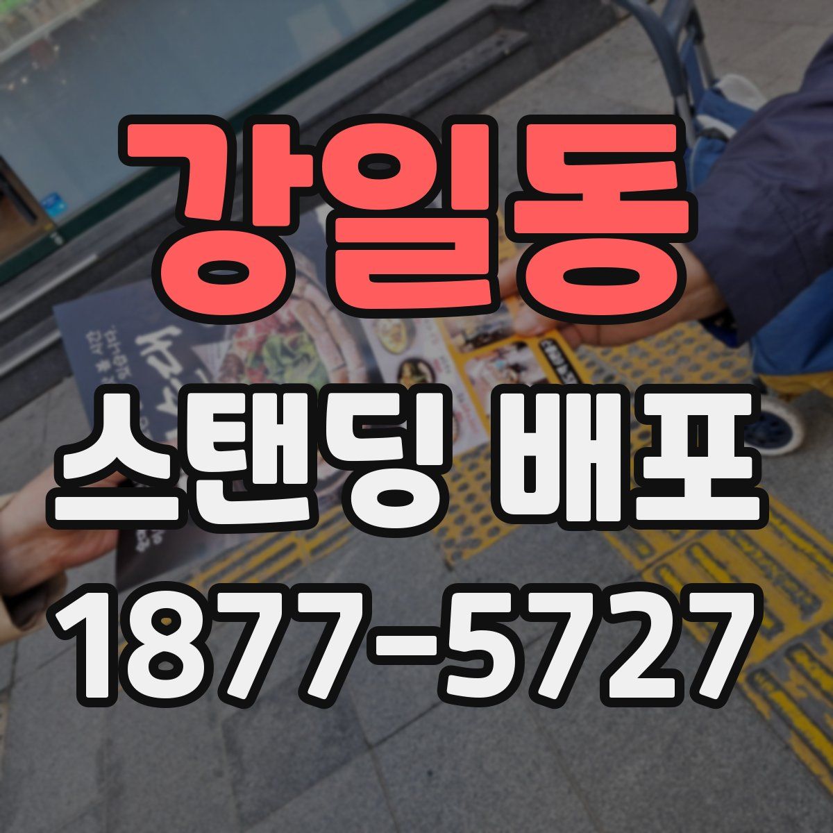 강일동 스탠딩 배포