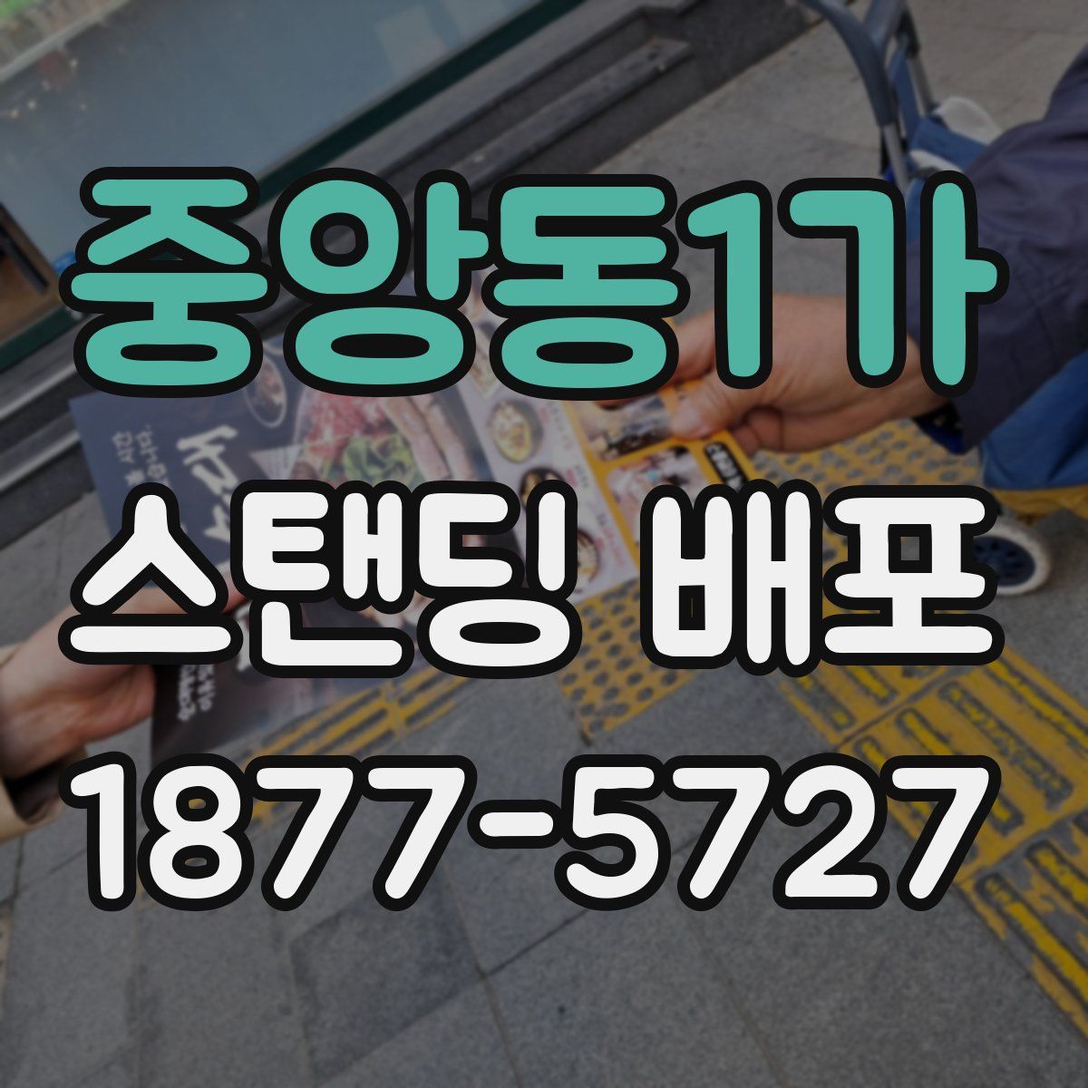중앙동1가 스탠딩 배포