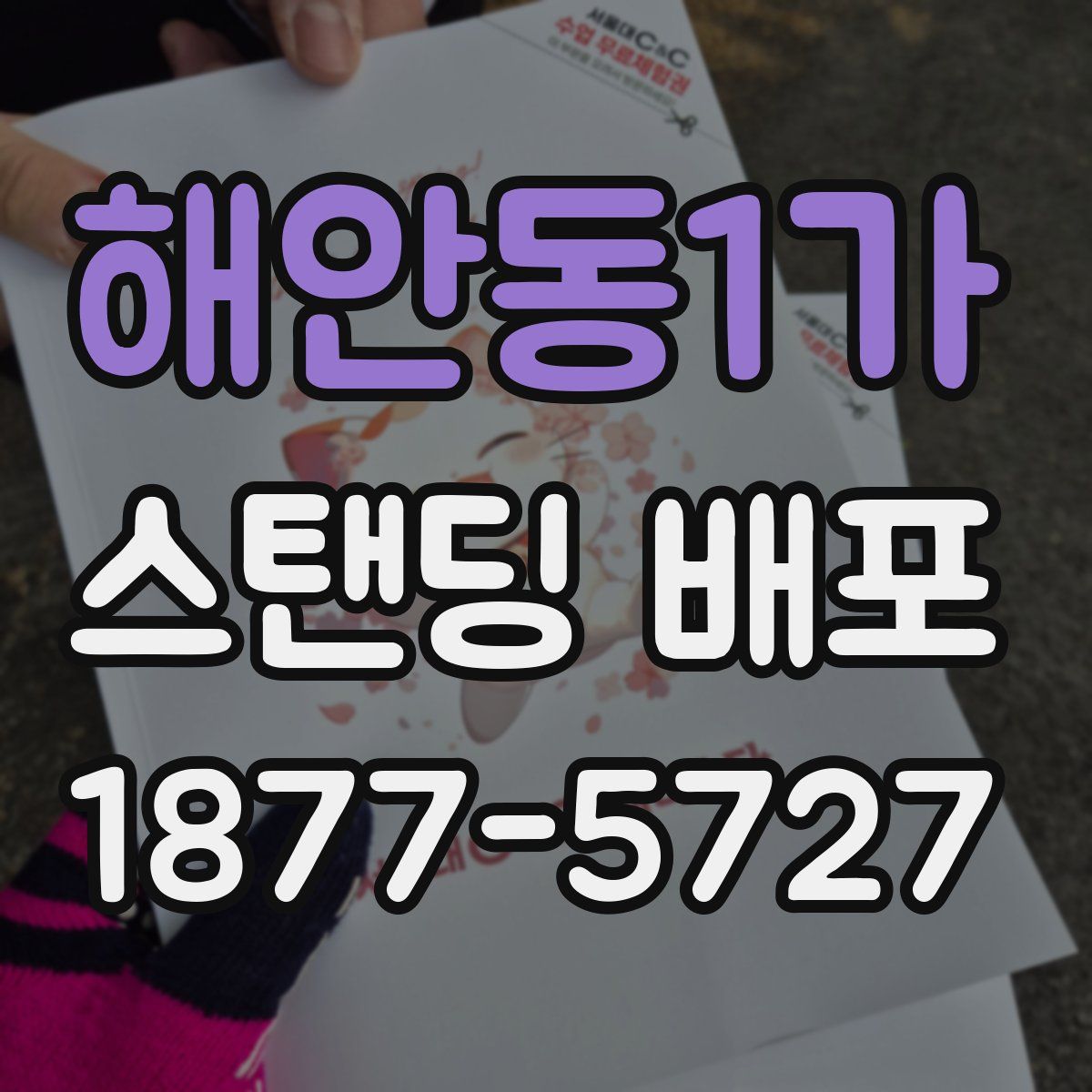 해안동1가 스탠딩 배포