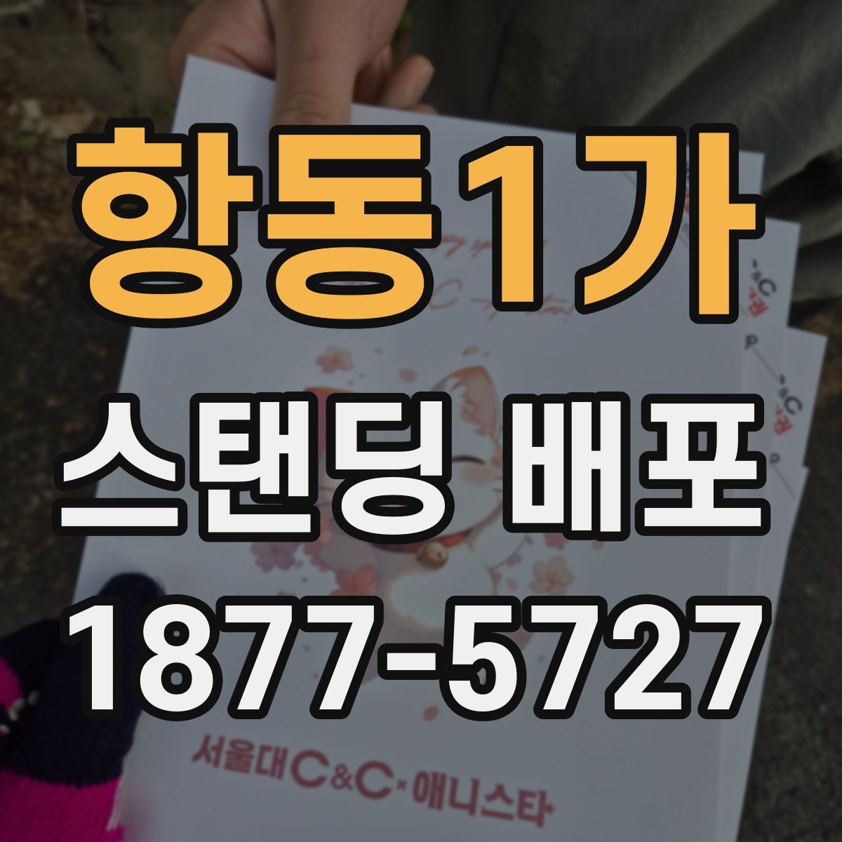 항동1가 스탠딩 배포