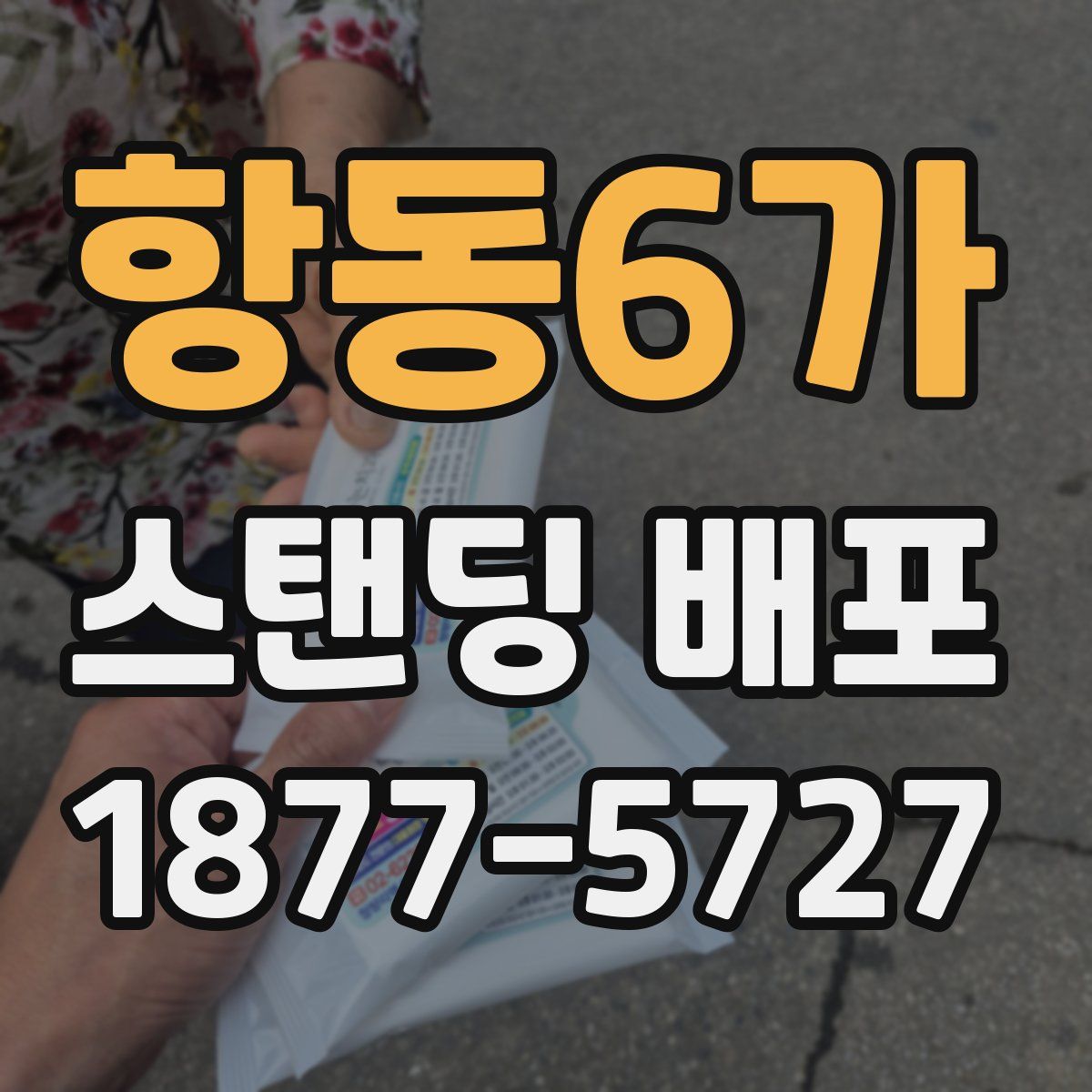 항동6가 스탠딩 배포