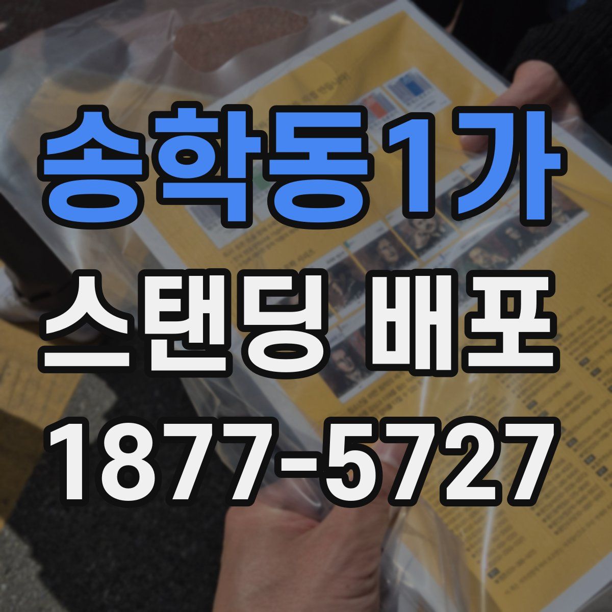 송학동1가 스탠딩 배포