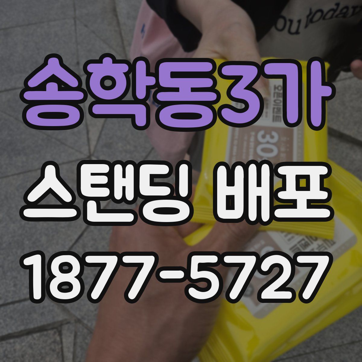 송학동3가 스탠딩 배포