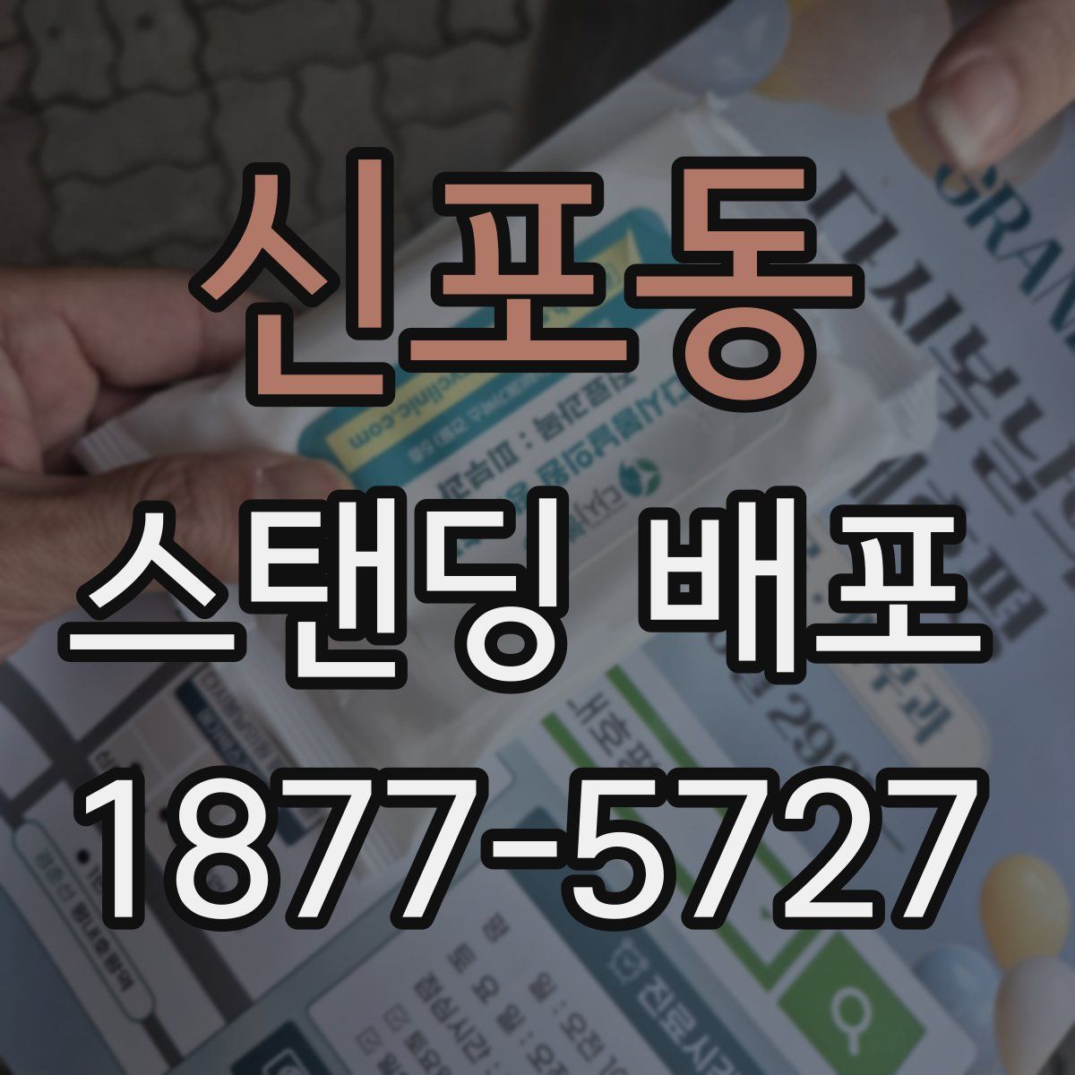 신포동 스탠딩 배포