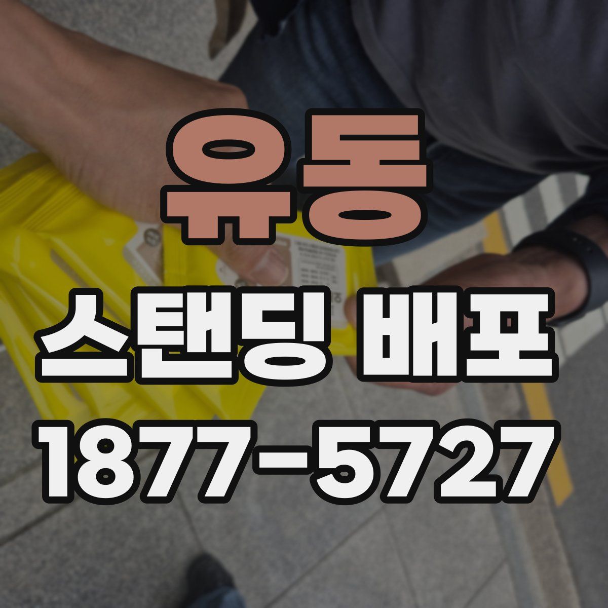 유동 스탠딩 배포