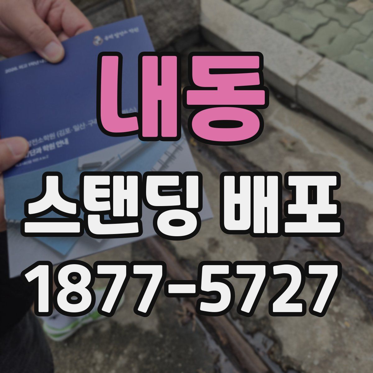 내동 스탠딩 배포