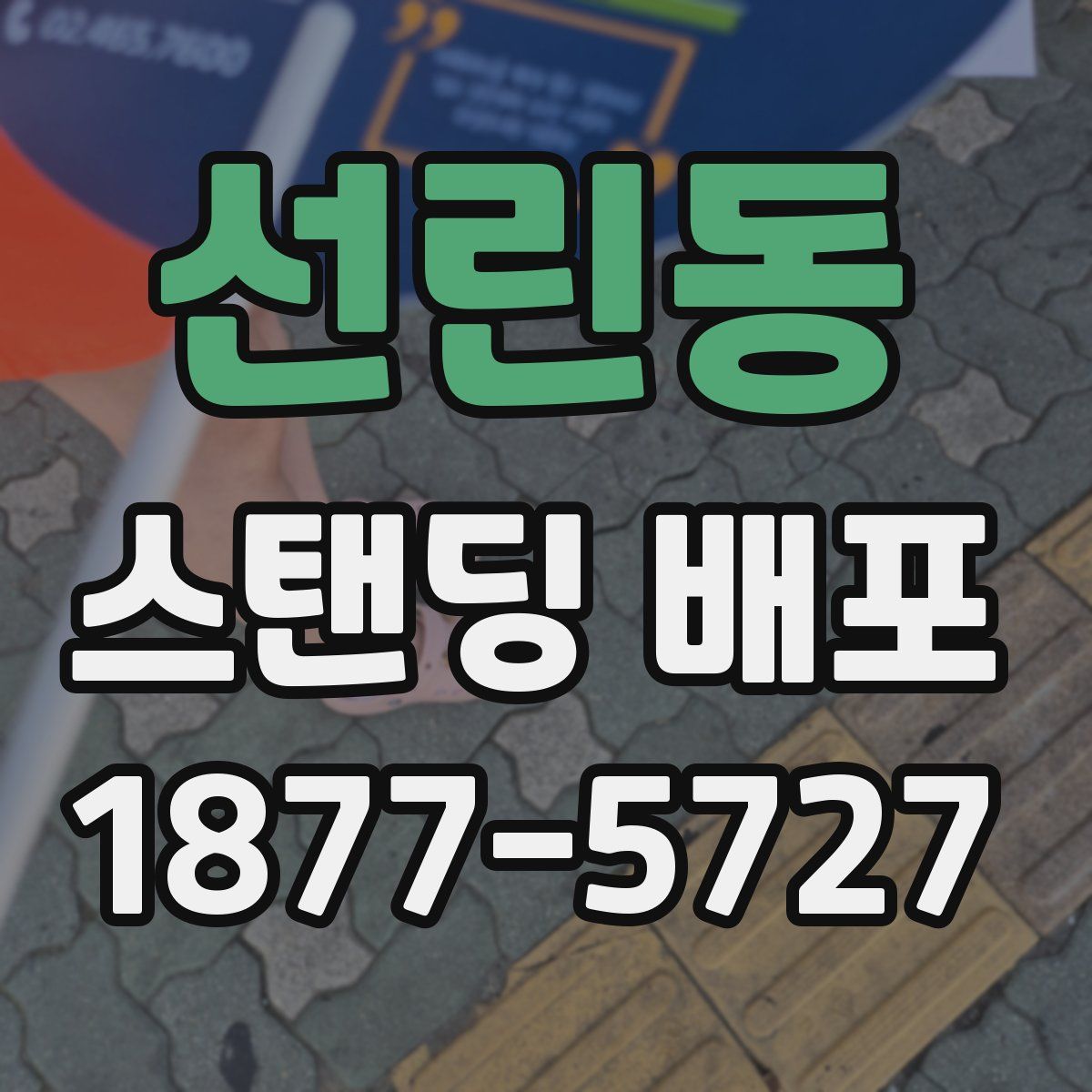 선린동 스탠딩 배포