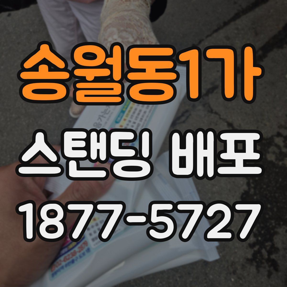 송월동1가 스탠딩 배포