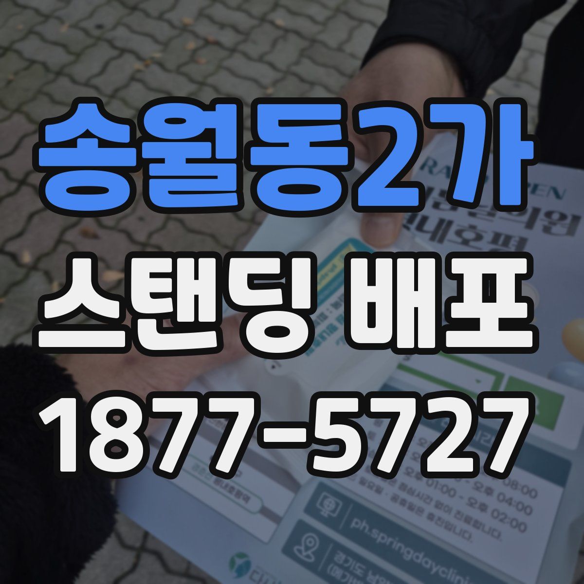 송월동2가 스탠딩 배포