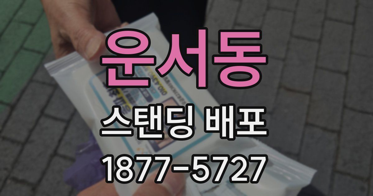 운서동 스탠딩 배포