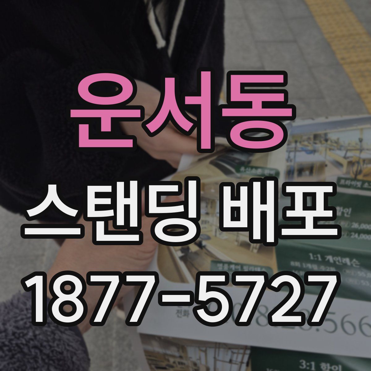 운서동 스탠딩 배포