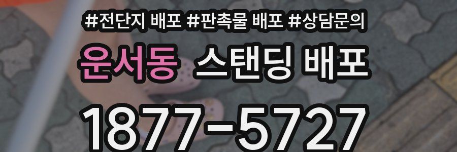 운서동 스탠딩 배포