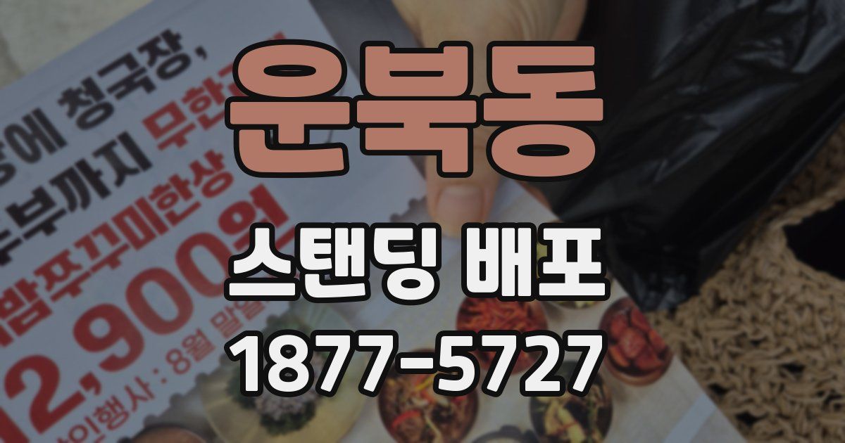 운북동 스탠딩 배포