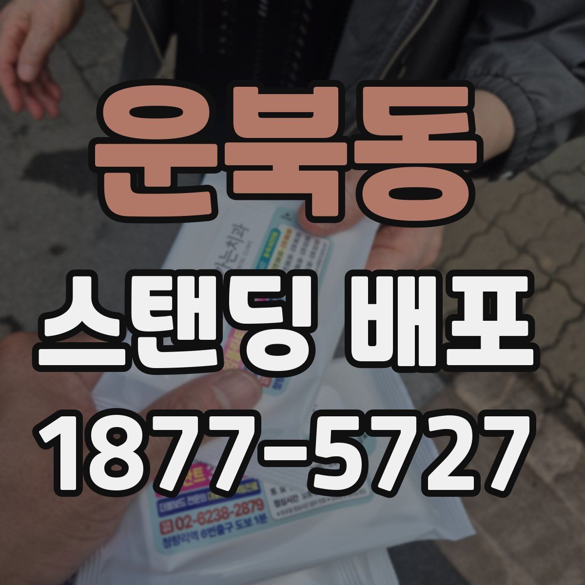 운북동 스탠딩 배포