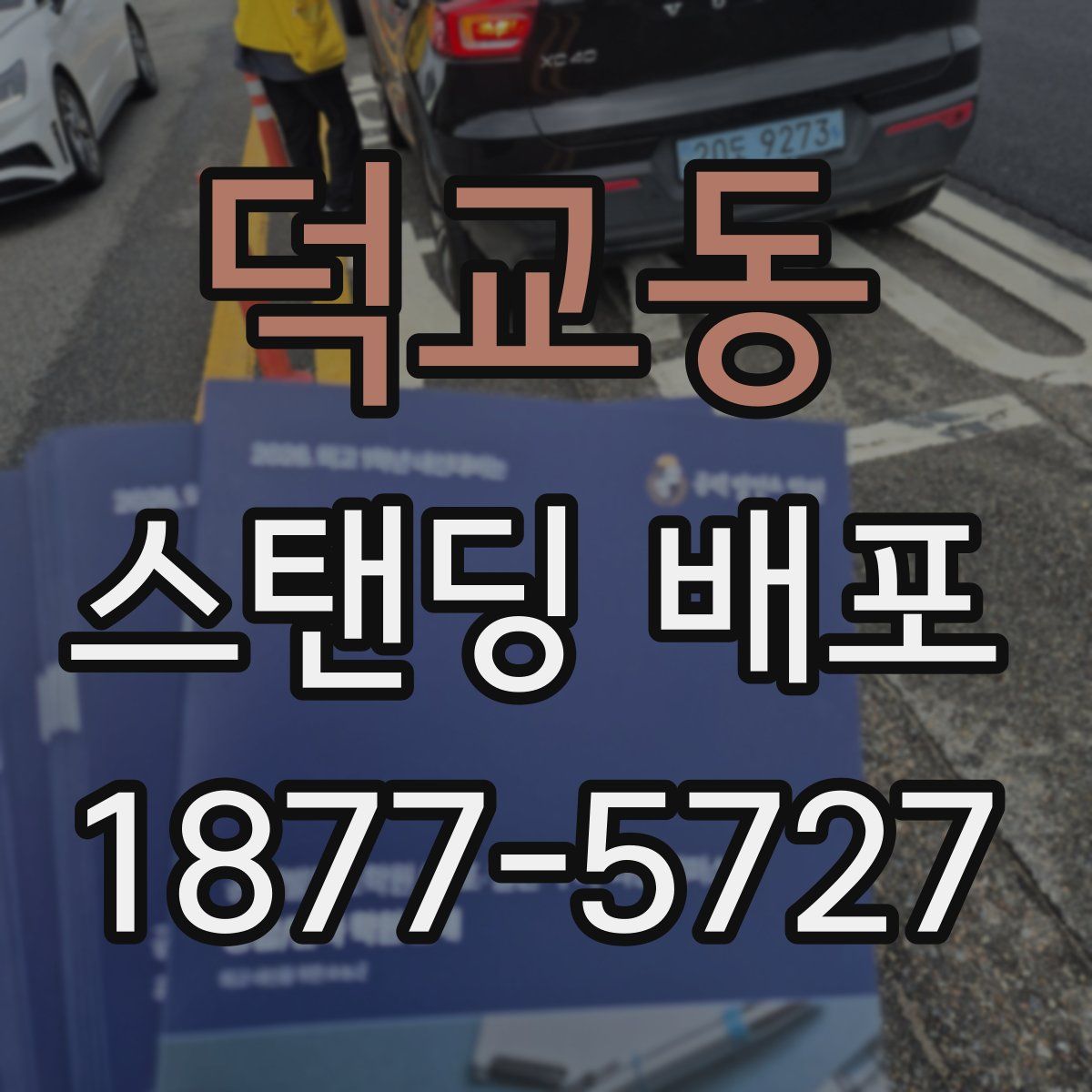 덕교동 스탠딩 배포