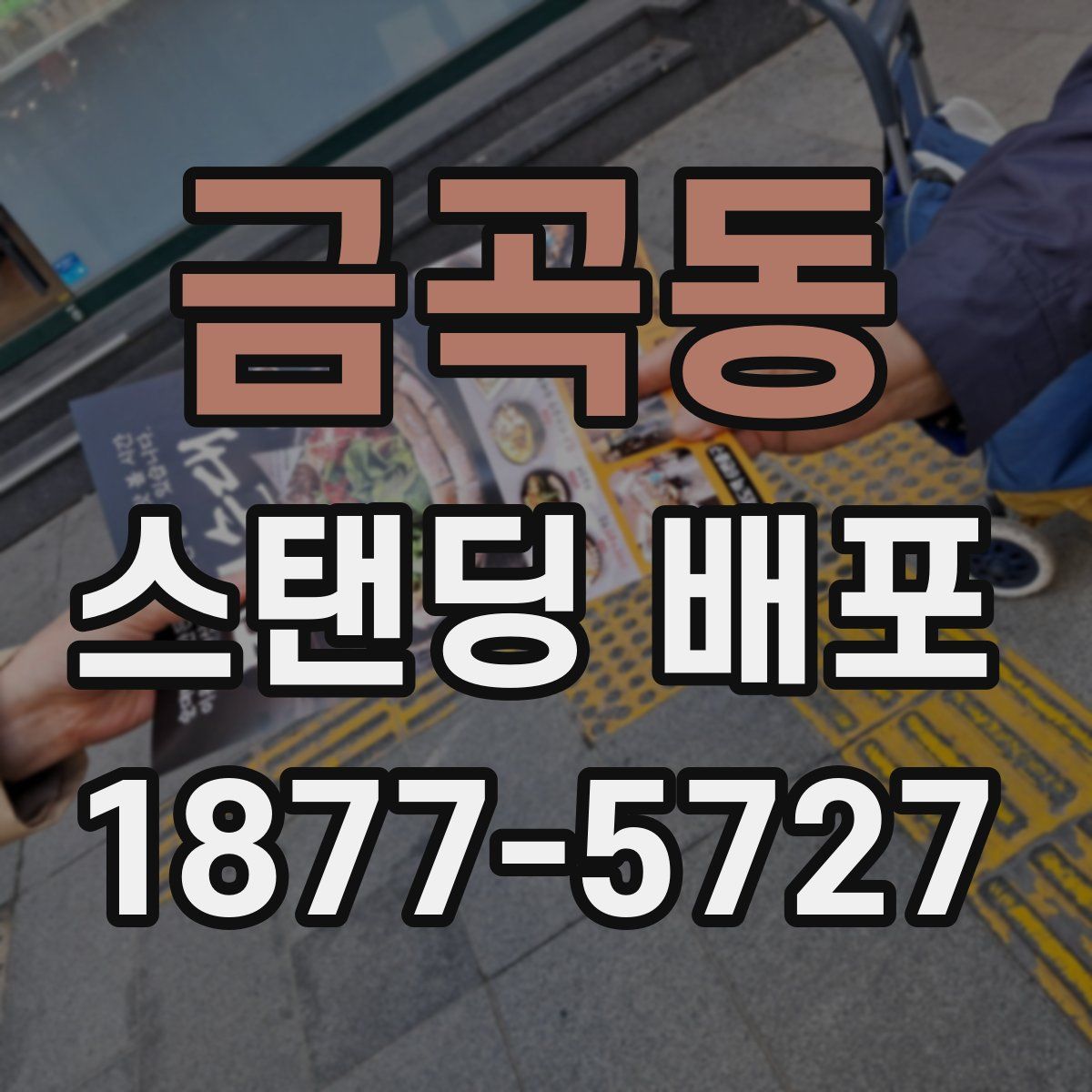 금곡동 스탠딩 배포