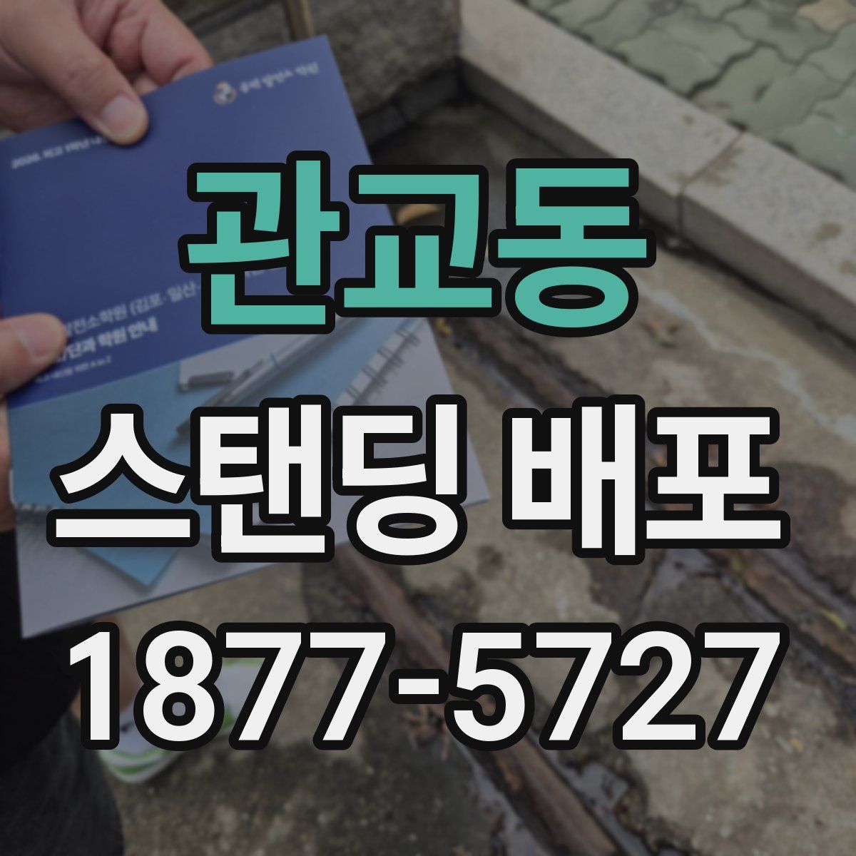 관교동 스탠딩 배포