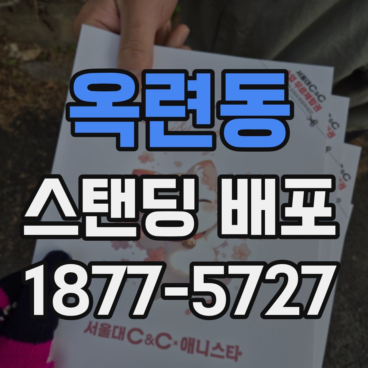옥련동 스탠딩 배포