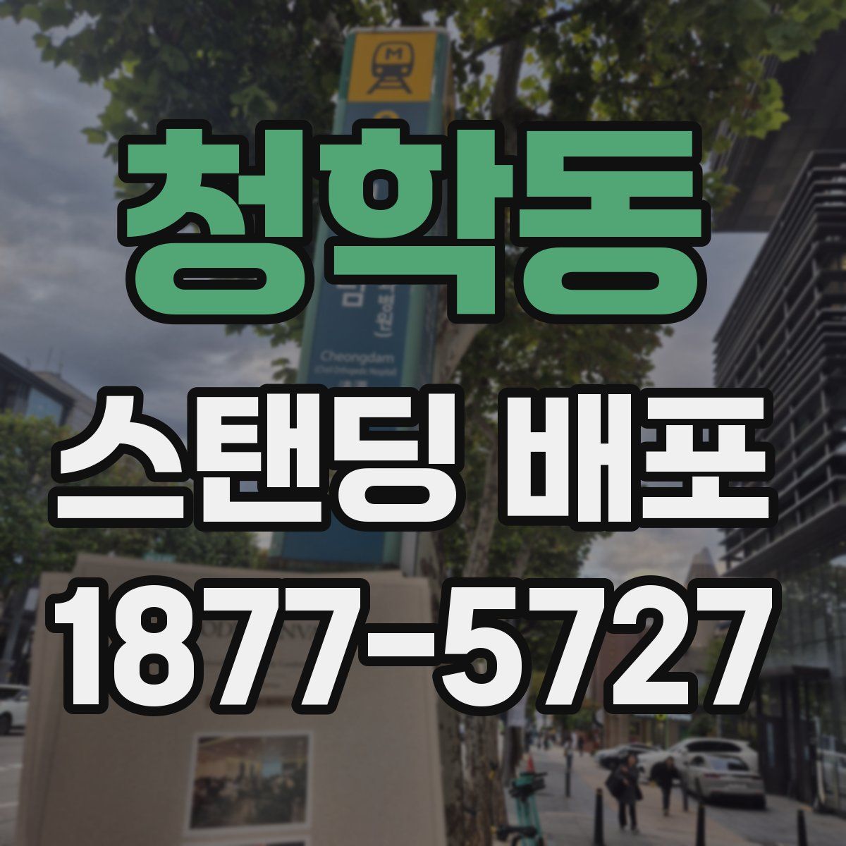 청학동 스탠딩 배포