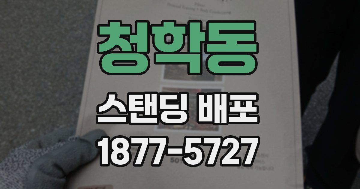 청학동 스탠딩 배포