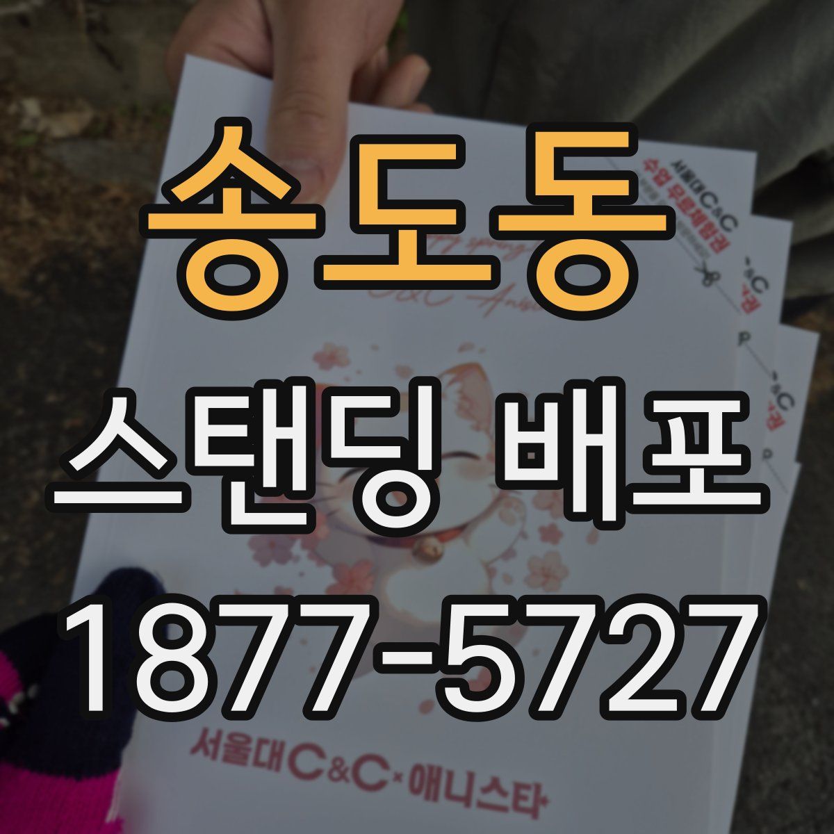 송도동 스탠딩 배포