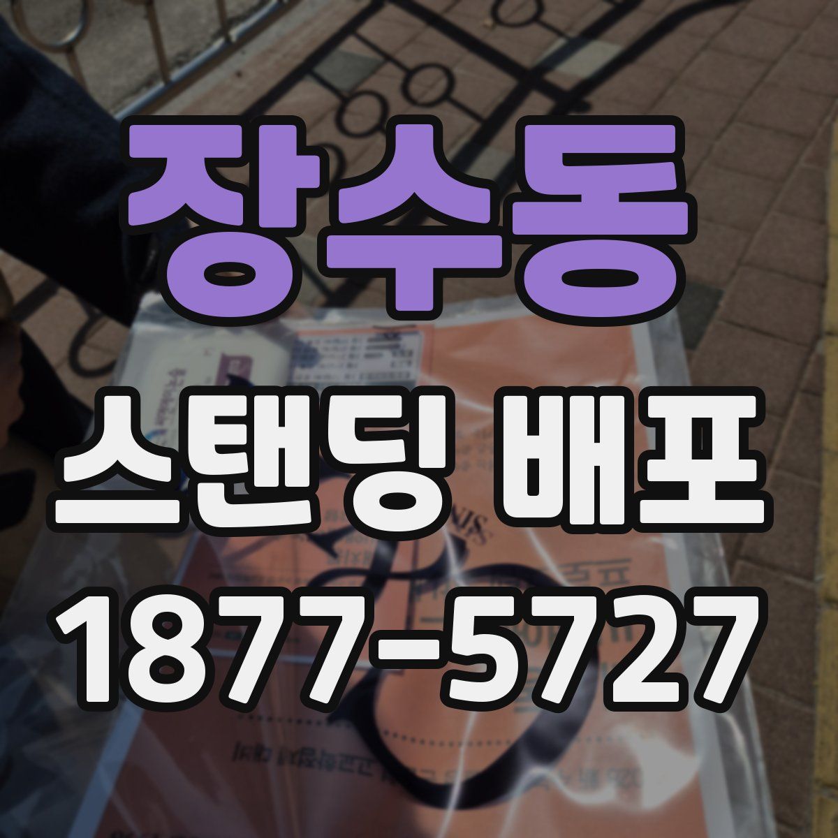 장수동 스탠딩 배포