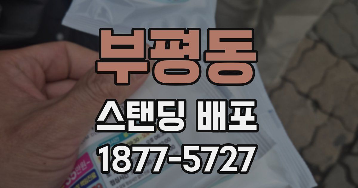 부평동 스탠딩 배포