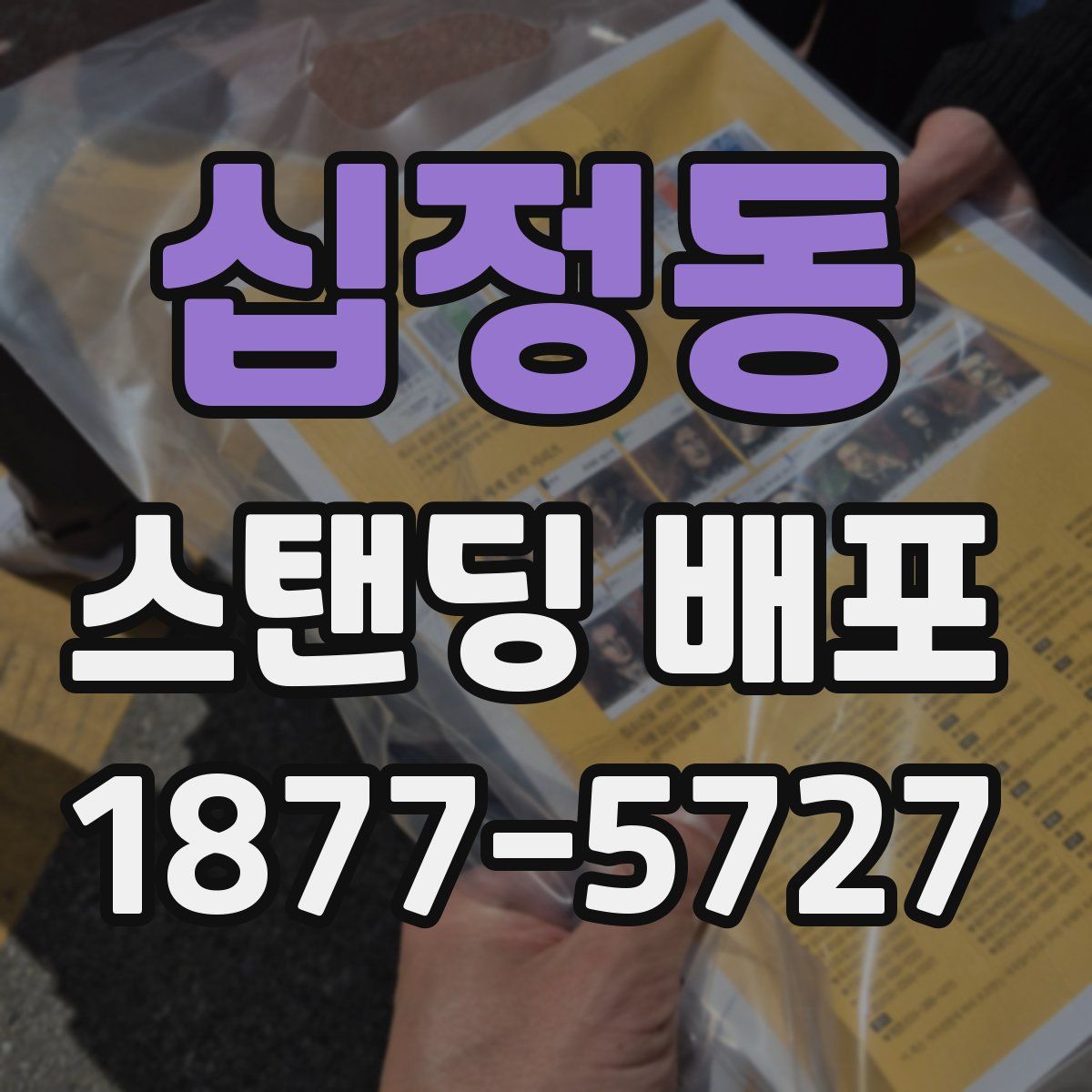 십정동 스탠딩 배포