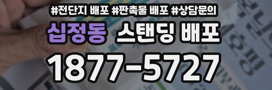 십정동 스탠딩 배포
