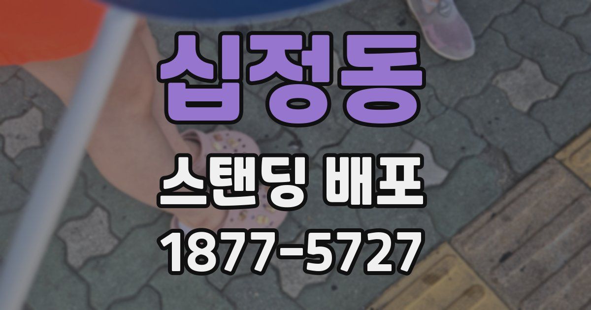십정동 스탠딩 배포