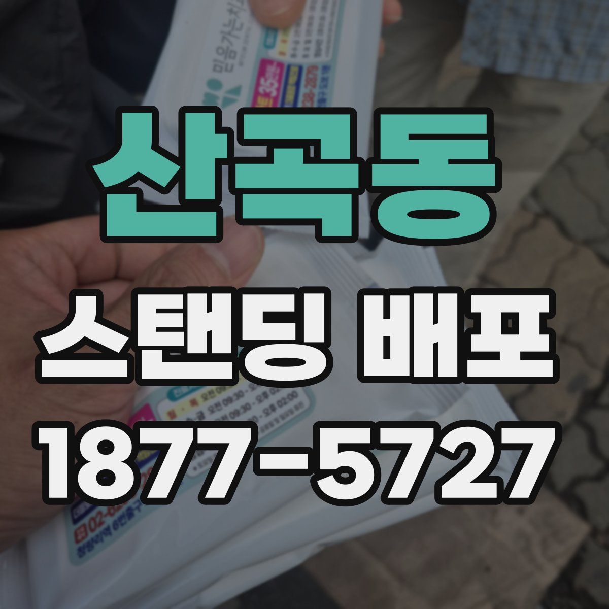 산곡동 스탠딩 배포